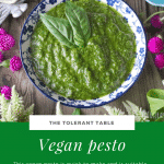 Vegan Pesto_Pinterest
